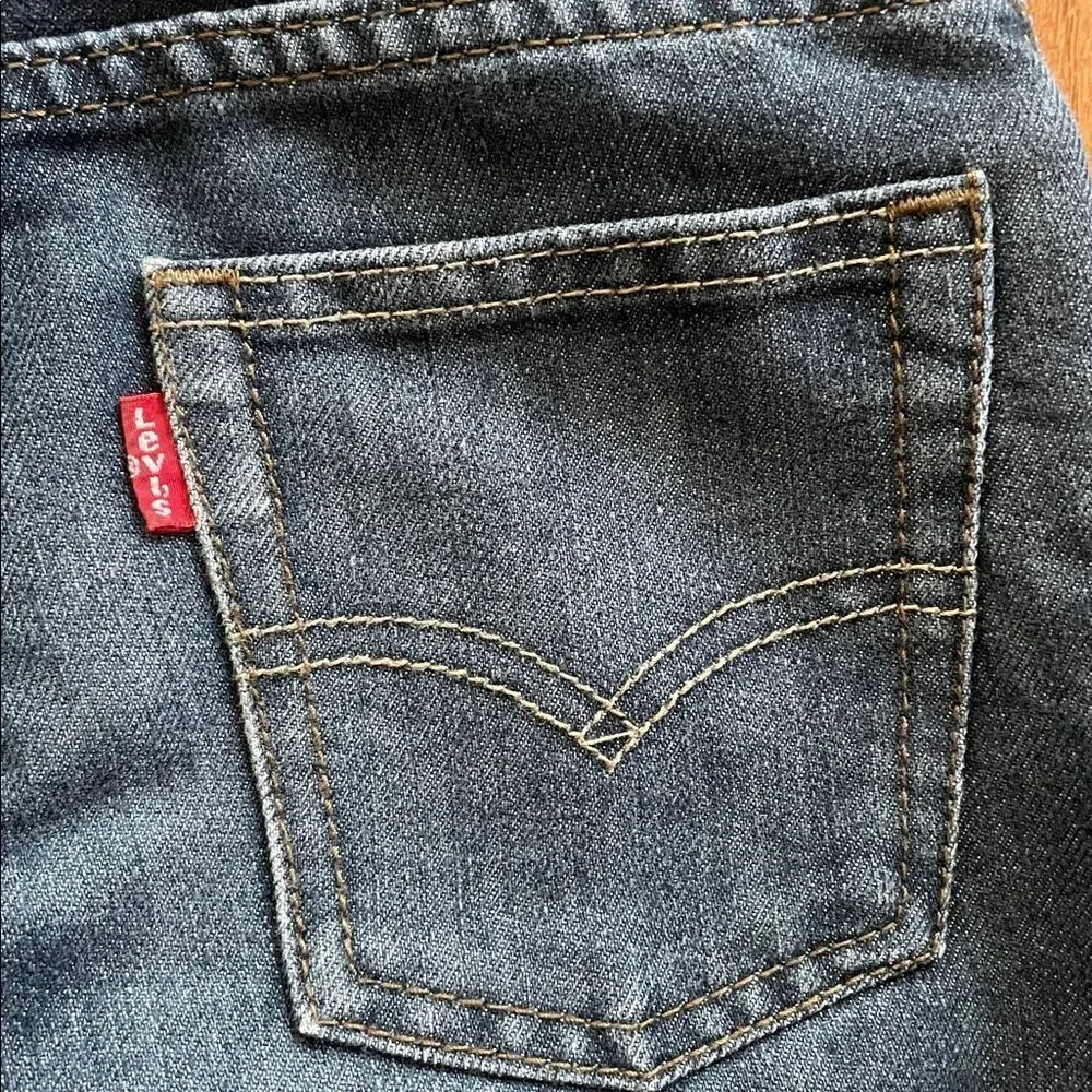 Levis levi’s 511